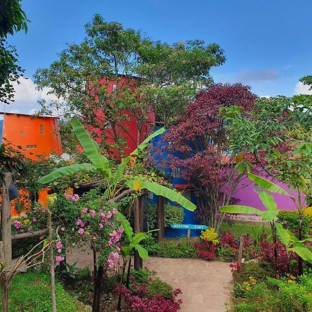 Chameleon Hill Forest Lodge Bwindi Impenetrable Park Exteriér fotografie