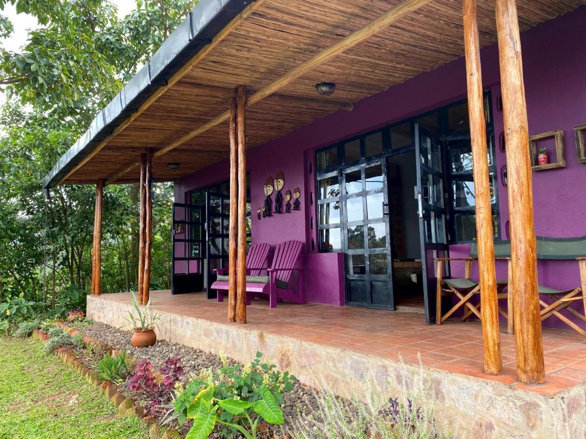 Chameleon Hill Forest Lodge Bwindi Impenetrable Park Exteriér fotografie