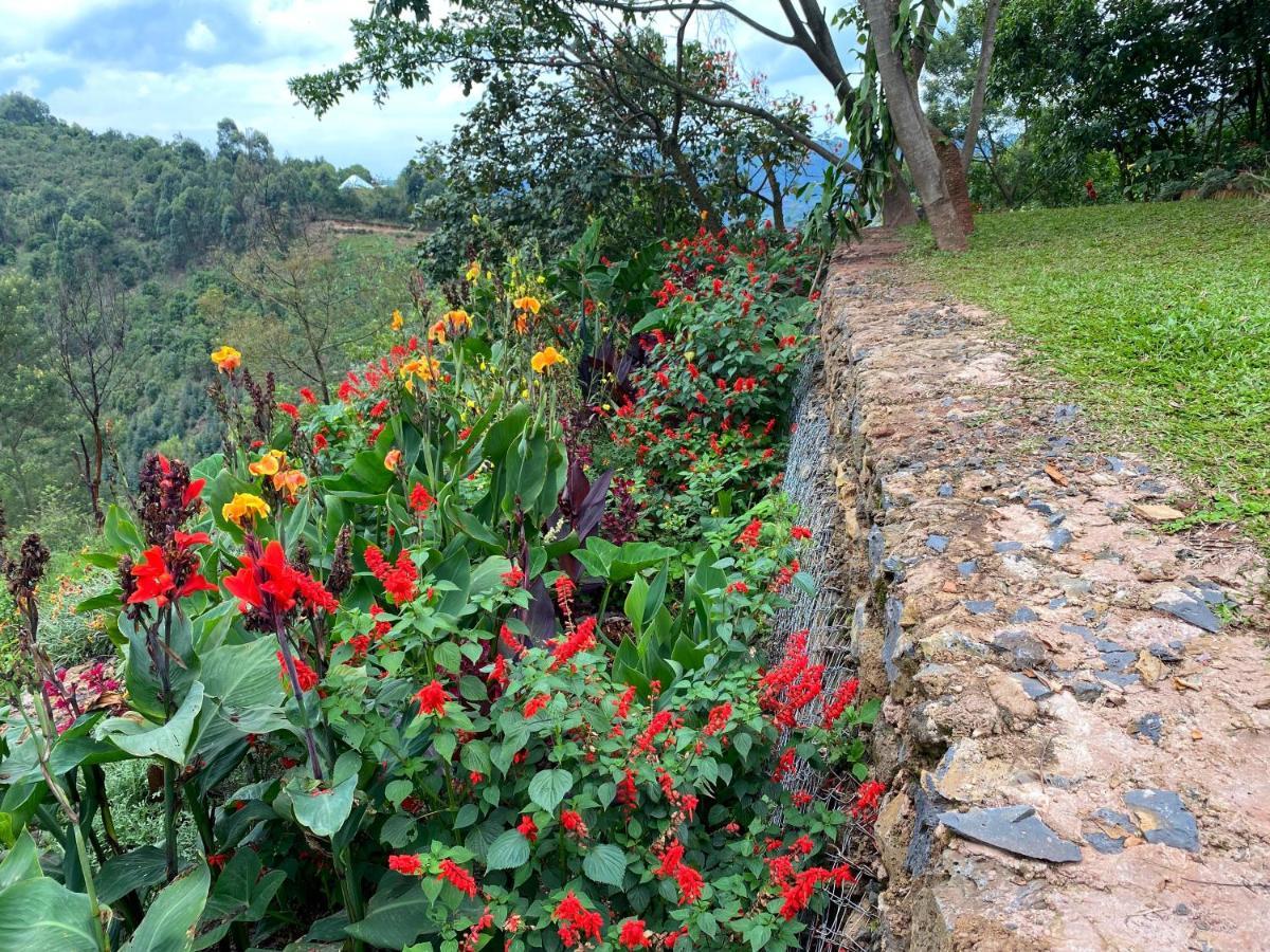 Chameleon Hill Forest Lodge Bwindi Impenetrable Park Exteriér fotografie