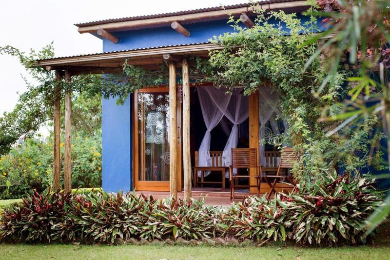 Chameleon Hill Forest Lodge Bwindi Impenetrable Park Exteriér fotografie