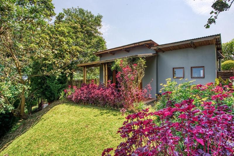Chameleon Hill Forest Lodge Bwindi Impenetrable Park Exteriér fotografie