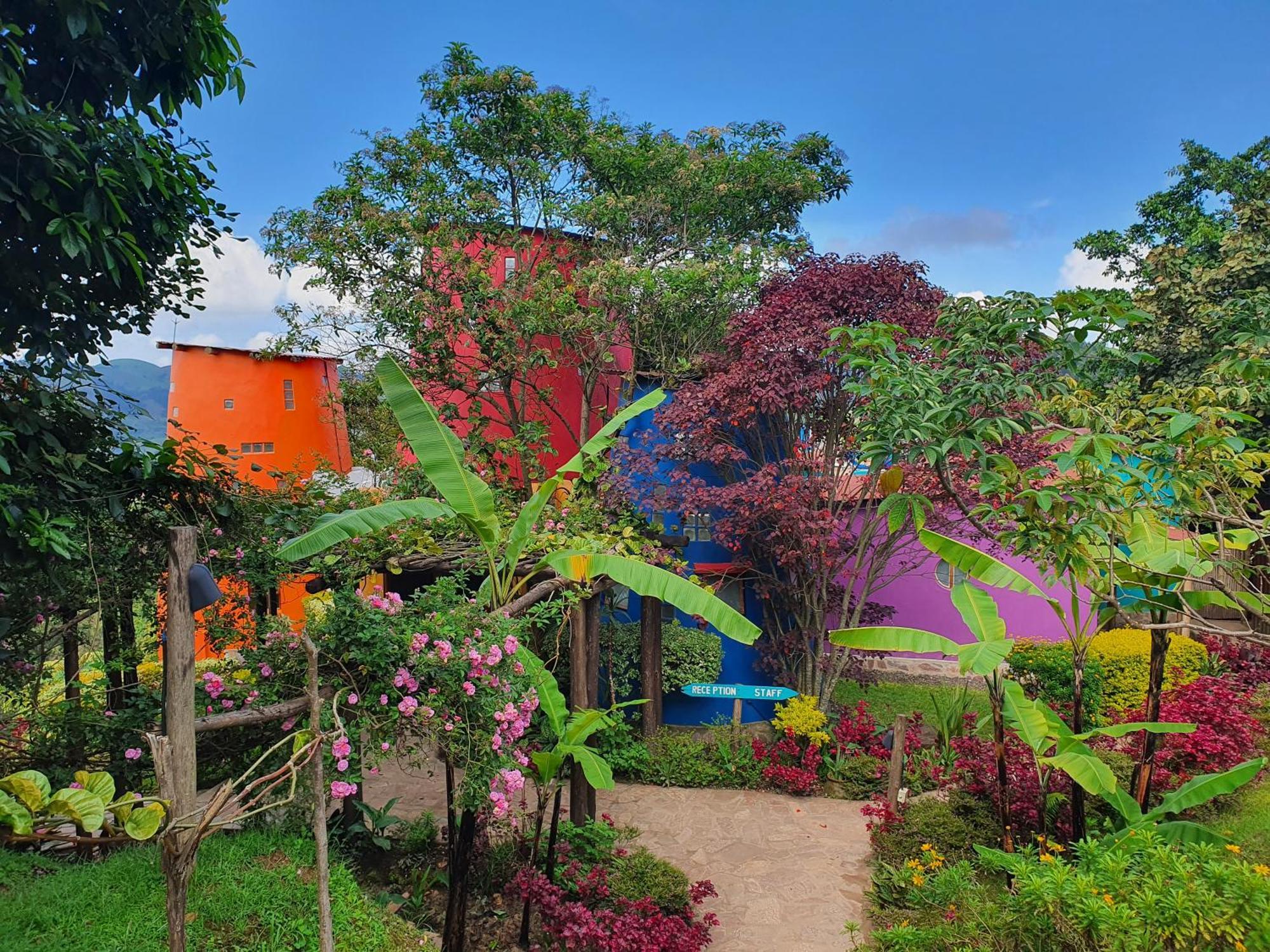 Chameleon Hill Forest Lodge Bwindi Impenetrable Park Exteriér fotografie